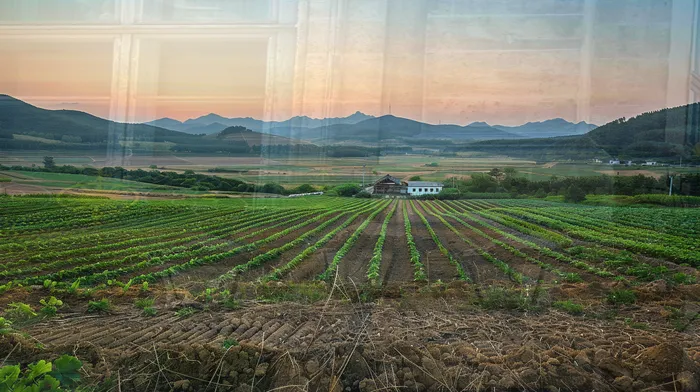 방화동 개인회생